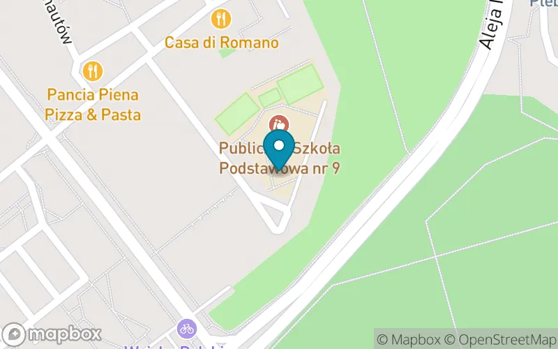 Lokalizacja: Publiczna Szkoła Podstawowa nr 9 im. Jurija Gagarina w Kędzierzynie-Koźlu