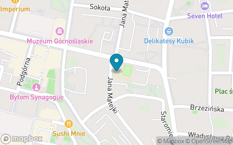 Lokalizacja: Szkoła Podstawowa nr 9 im. Adama Mickiewicza