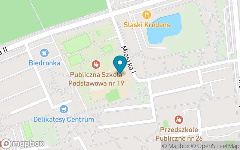 Lokalizacja: Publiczna Szkoła Podstawowa nr 19 Im.bronisława Malinowskiego w Kędzierzynie-Koźlu