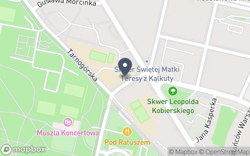 Lokalizacja: Zespół Szkół Mistrzostwa Sportowego w Bytomiu