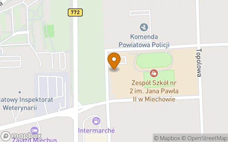 Lokalizacja: Szkoła Policealna
