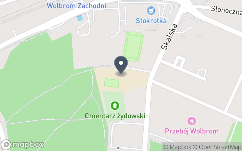 Lokalizacja: Zespół Szkół w Wolbromiu