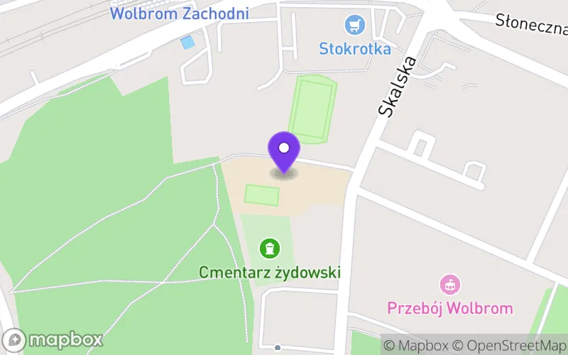 Lokalizacja: Branżowa Szkoła I Stopnia im. Romualda Traugutta w Wolbromiu