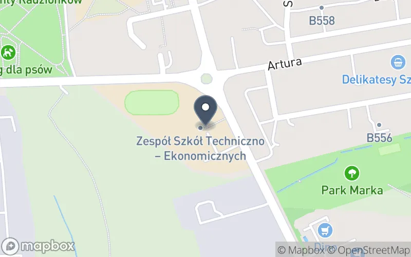 Lokalizacja: Zespół Szkół Specjalnych