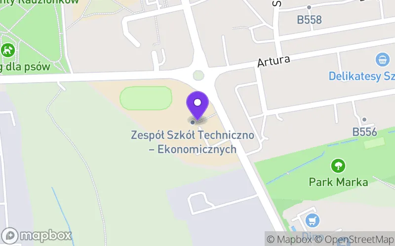 Lokalizacja: Branżowa Szkoła I Stopnia nr 16 Specjalna w Radzionkowie