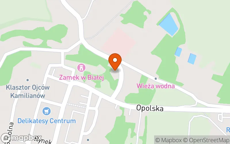 Lokalizacja: Niepubliczny Tatusiowy Żłobek