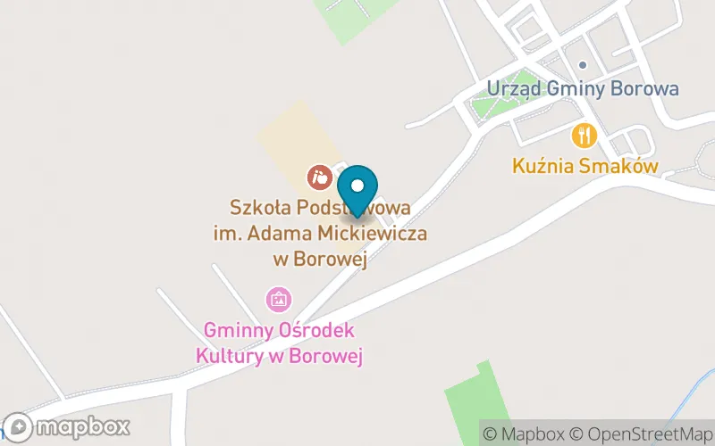 Lokalizacja: Szkoła Podstawowa im. A. Mickiewicza w Borowej
