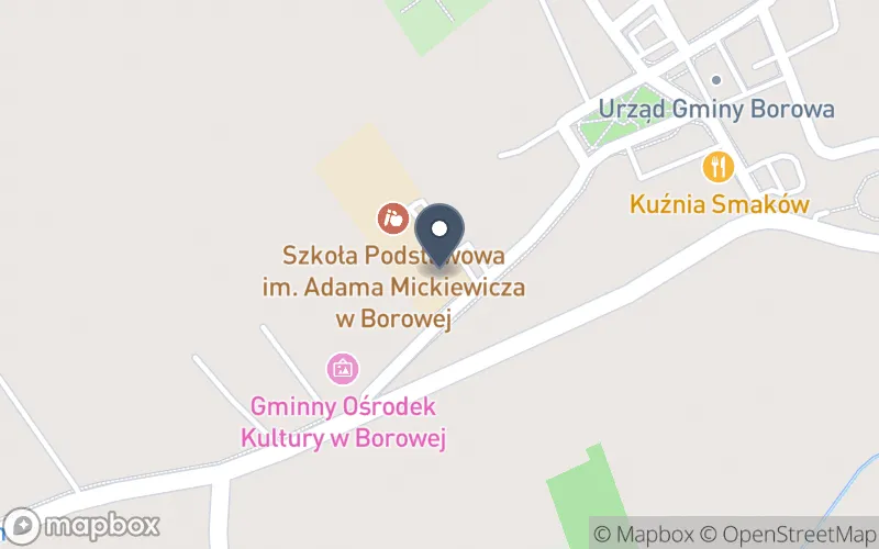 Lokalizacja: Zespół Szkolno-Przedszkolny w Borowej