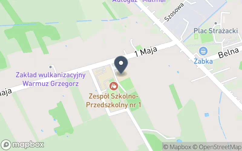 Lokalizacja: Zespół Szkolno - Przedszkolny nr 1 w Strzyżowicach