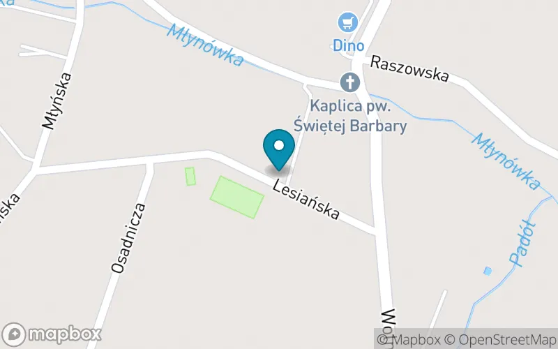 Lokalizacja: Publiczna Szkoła Podstawowa im. Księdza Jana Twardowskiego w Januszkowicach