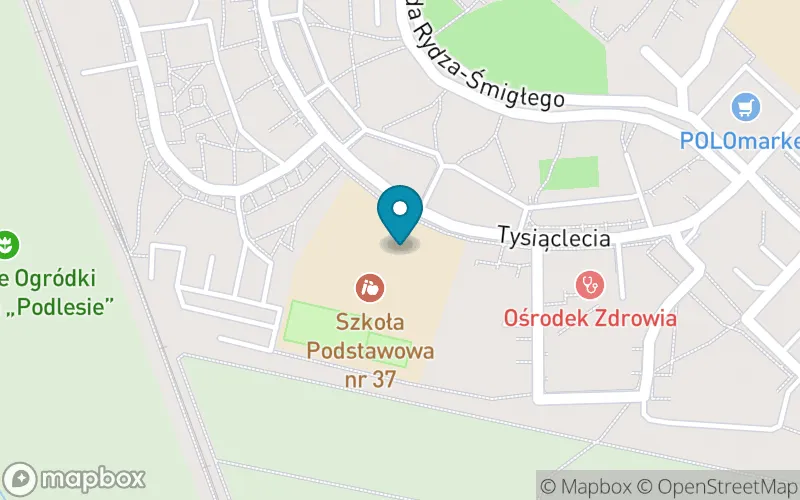 Lokalizacja: Szkoła Podstawowa nr 37