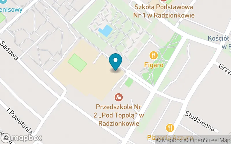 Lokalizacja: Szkoła Podstawowa nr 1 im. A. Mickiewicza w Radzionkowie