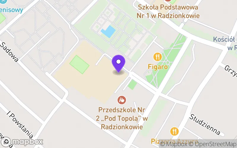 Lokalizacja: Liceum Ogólnokształcące im. Powstańców Śląskich w Radzionkowie