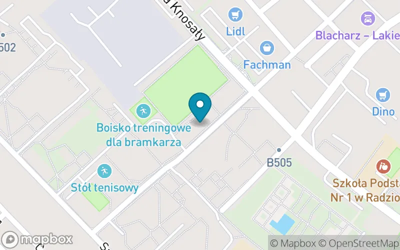 Lokalizacja: Szkoła Mistrzostwa Sportowego Radzionków Niepubliczna Szkoła Podstawowa