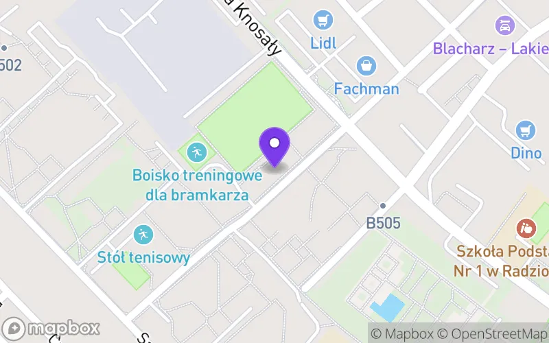 Lokalizacja: Szkoła Mistrzostwa Sportowego Radzionków Niepubliczne Liceum Ogólnokształcące