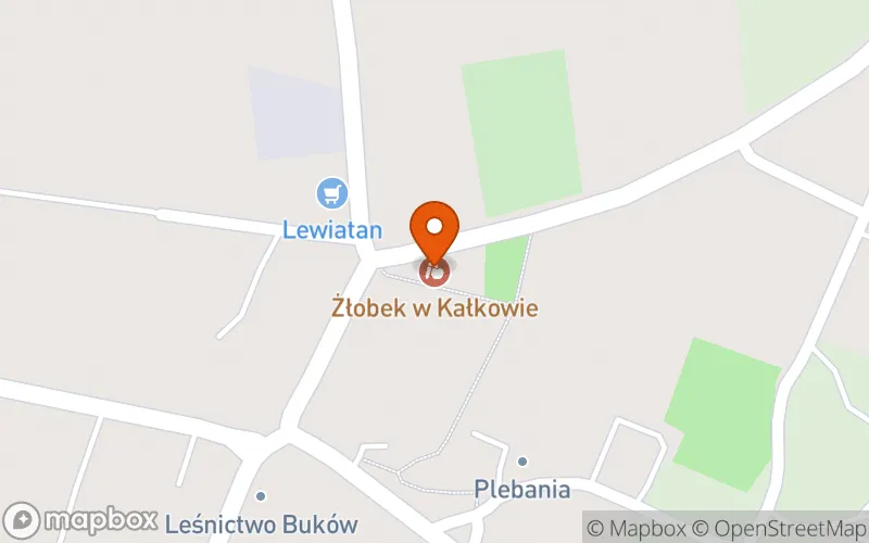 Lokalizacja: Żłobek w Kałkowie
