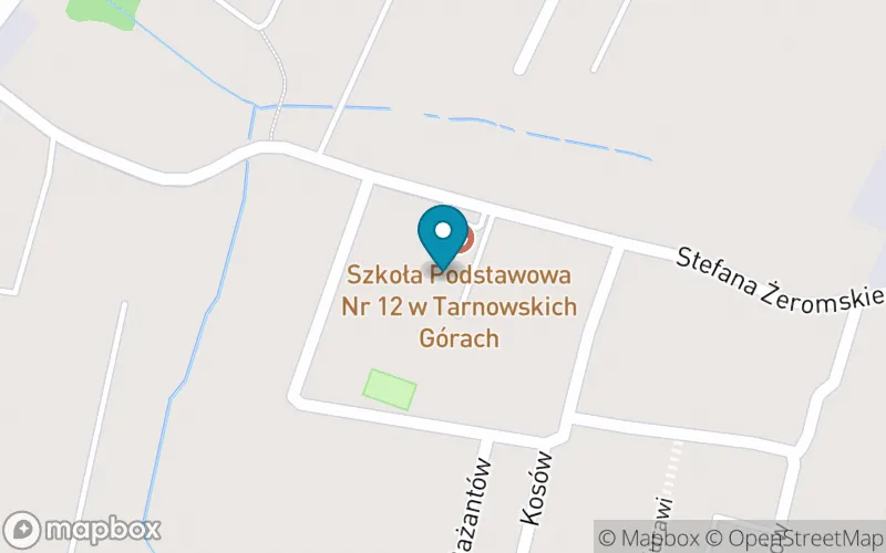 Lokalizacja: Szkoła Podstawowa nr 12