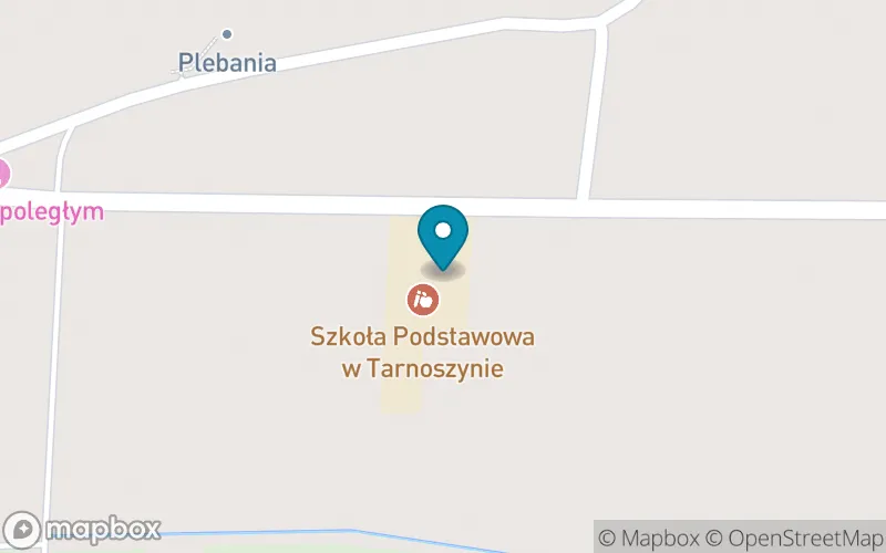 Lokalizacja: Szkoła Podstawowa im. Orła Białego w Tarnoszynie