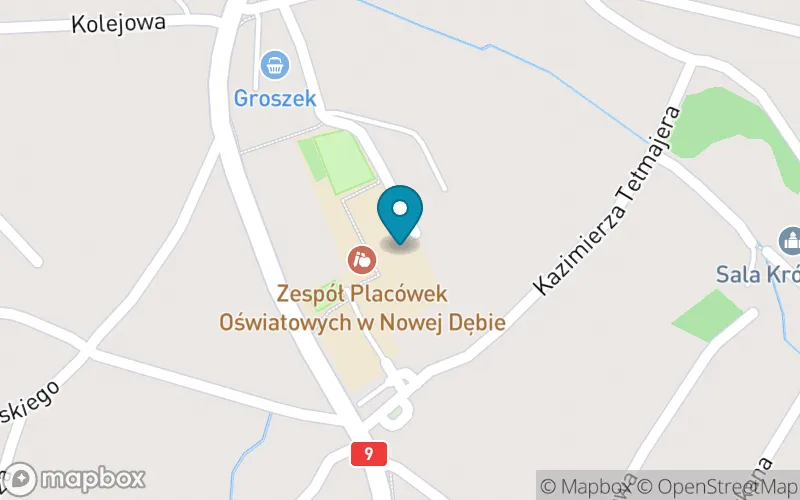 Lokalizacja: Szkoła Podstawowa nr 3 im. Bronisława Zybury w Nowej Dębie