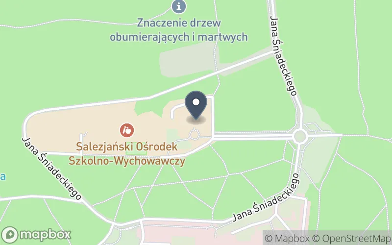 Lokalizacja: Salezjański Ośrodek Szkolno-Wychowawczy w Tarnowskich Górach