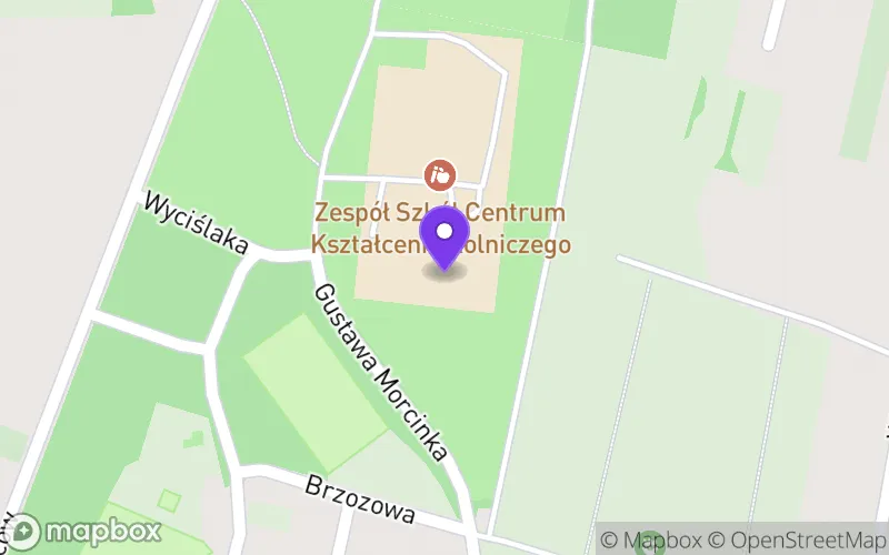 Lokalizacja: Technikum w Nakle Śląskim