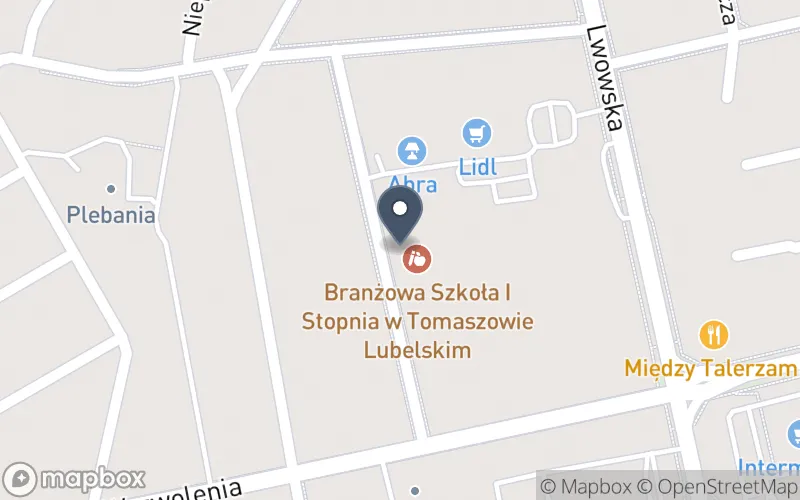 Lokalizacja: Zespół Szkół Techniczno-Zawodowych im. Macieja Rataja w Tomaszowie Lubelskim