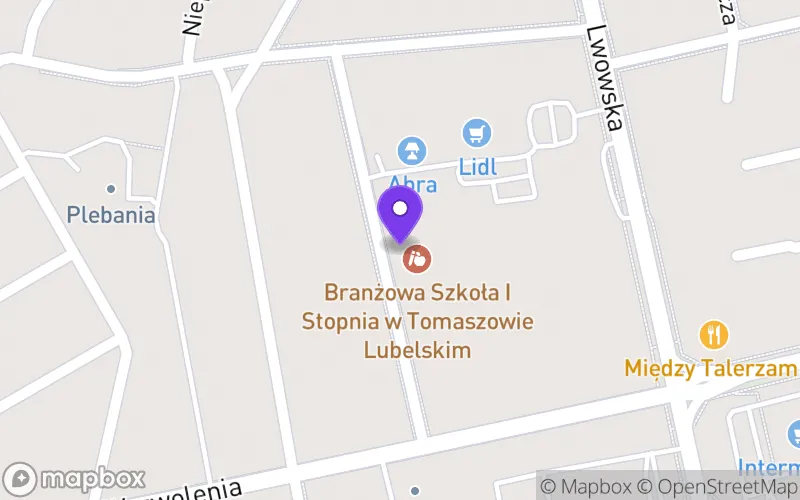 Lokalizacja: Technikum nr 1 w Zespole Szkół Techniczno-Zawodowych im. Macieja Rataja w Tomaszowie Lubelskim