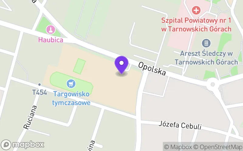 Lokalizacja: Technikum nr 1