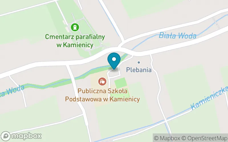 Lokalizacja: Publiczna Szkoła Podstawowa w Kamienicy