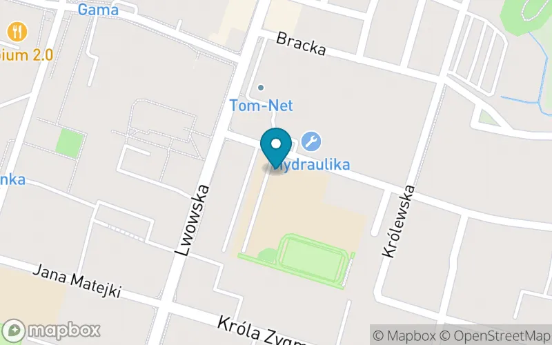 Lokalizacja: Szkoła Podstawowa nr 1 im. Orląt Lwowskich w Tomaszowie Lubelskim