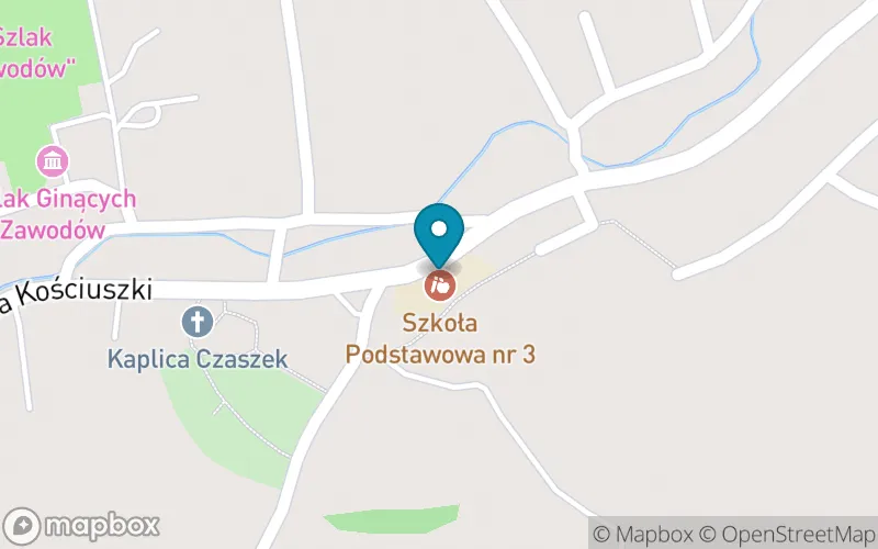 Lokalizacja: Szkoła Podstawowa nr 3 im. 100-Lecia Odzyskania Niepodległości