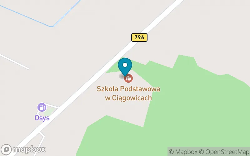 Lokalizacja: Niepubliczna Szkoła Podstawowa w Ciągowicach