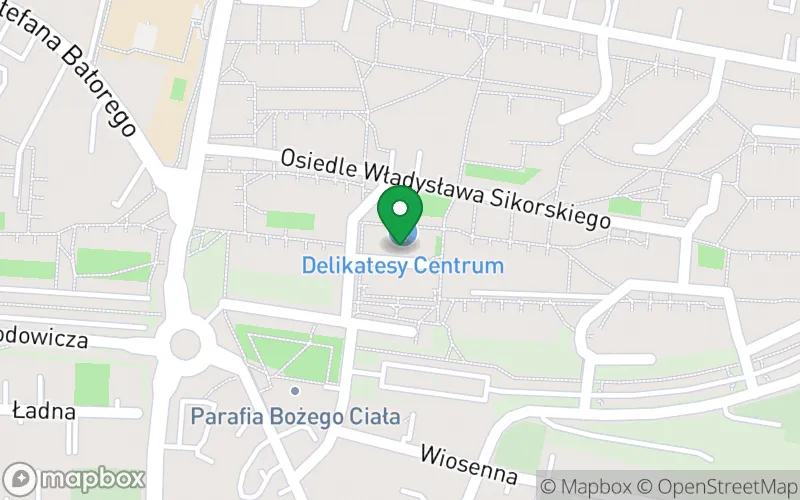 Lokalizacja: Przedszkole Niepubliczne „Smerfuś” w Busku-Zdroju