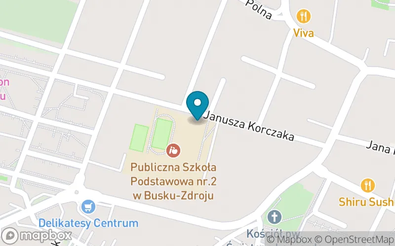 Lokalizacja: Publiczna Szkoła Podstawowa nr 2 im. Janusza Korczaka w Busku-Zdroju