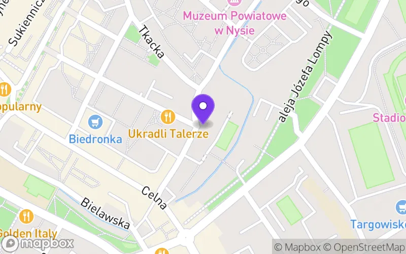 Lokalizacja: I Liceum Ogólnokształcące im. Jana III Sobieskiego Carolinum w Nysie