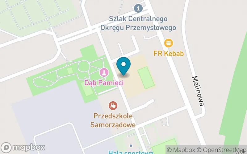 Lokalizacja: Publiczna Szkoła Podstawowa w Skopaniu im. Jana Pawła II