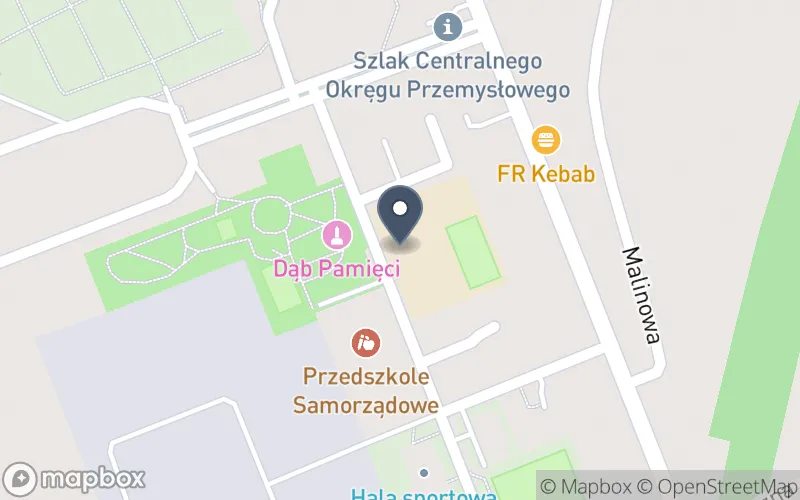 Lokalizacja: Zespół Szkół w Skopaniu