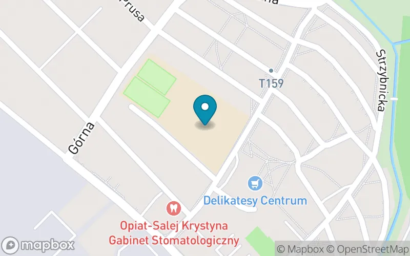 Lokalizacja: Szkoła Podstawowa z Oddziałami Integracyjnymi nr 13