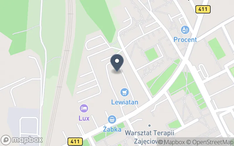Lokalizacja: Zespół Szkół i Placówek Artystycznych w Nysie