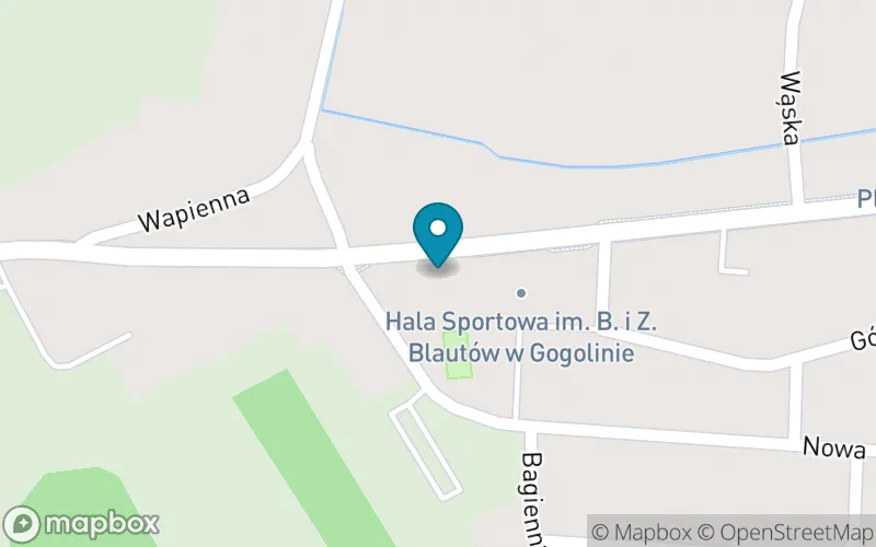 Lokalizacja: Publiczna Szkoła Podstawowa nr 3 im. Jana Brzechwy w Gogolinie