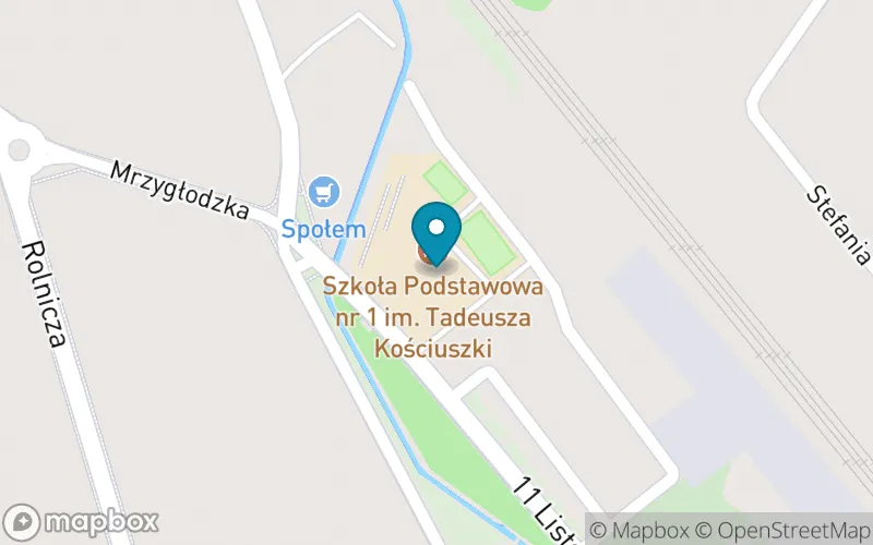 Lokalizacja: Szkoła Podstawowa nr 1 im. Tadeusza Kościuszki w Zawierciu