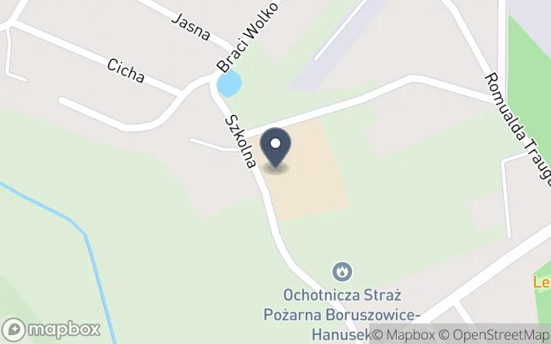 Lokalizacja: Zespół Szkolno-Przedszkolny w Boruszowicach