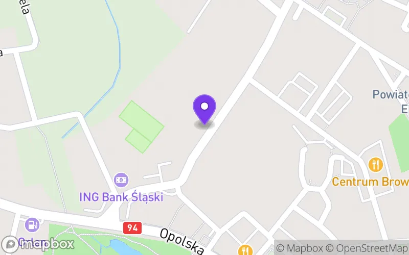 Lokalizacja: Technikum w Strzelcach Opolskich