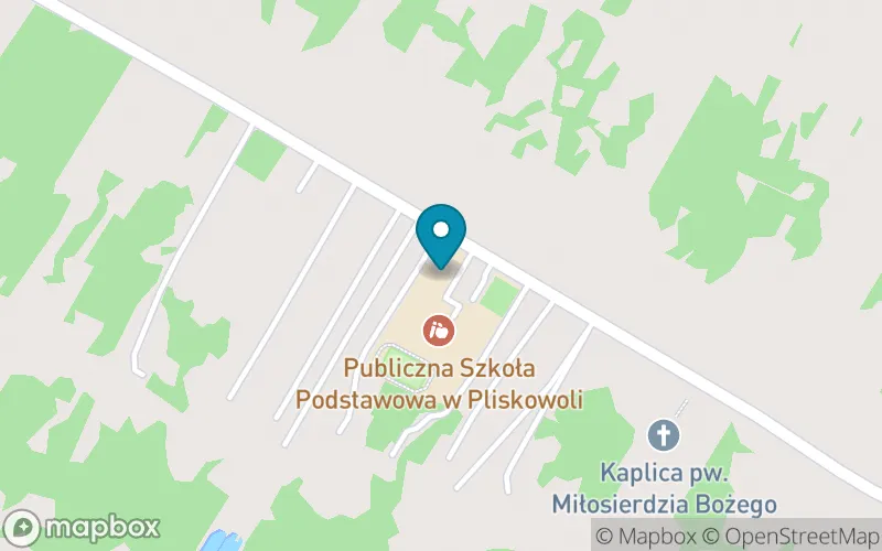Lokalizacja: Publiczna Szkoła Podstawowa w Pliskowoli