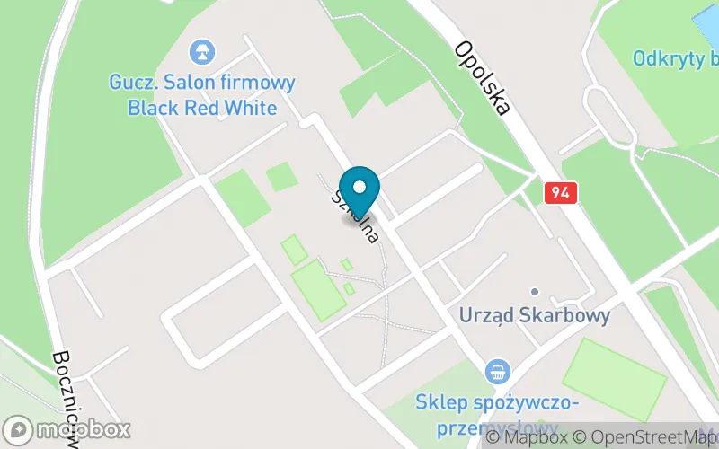 Lokalizacja: Publiczna Szkoła Podstawowa nr 4 w Strzelcach Opolskich