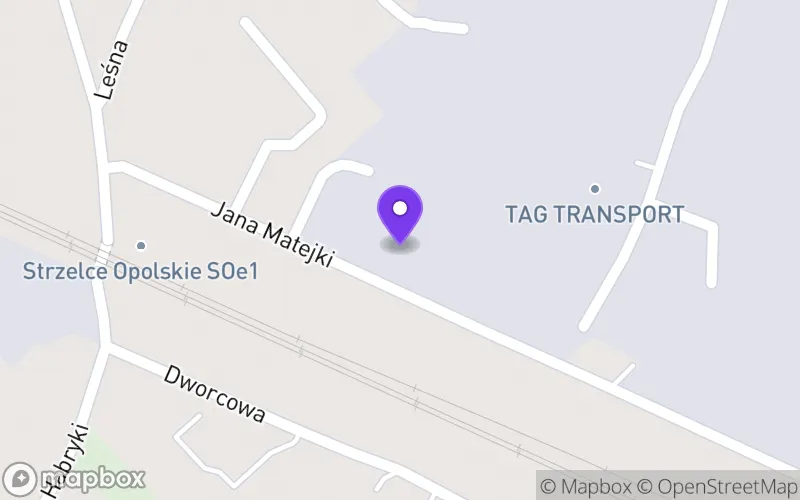 Lokalizacja: Niepubliczna Branżowa Szkoła I Stopnia w Strzelcach Opolskich