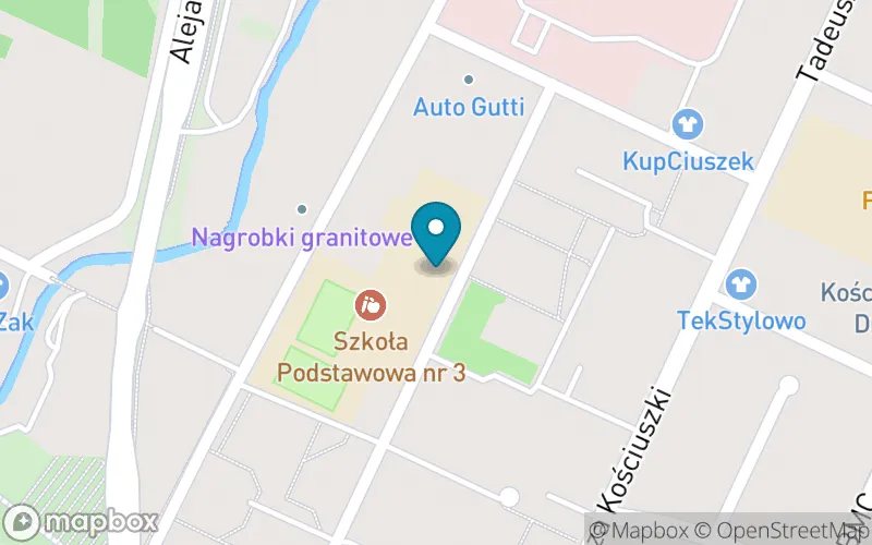 Lokalizacja: Szkoła Podstawowa nr 3 z Oddziałami Integracyjnymi