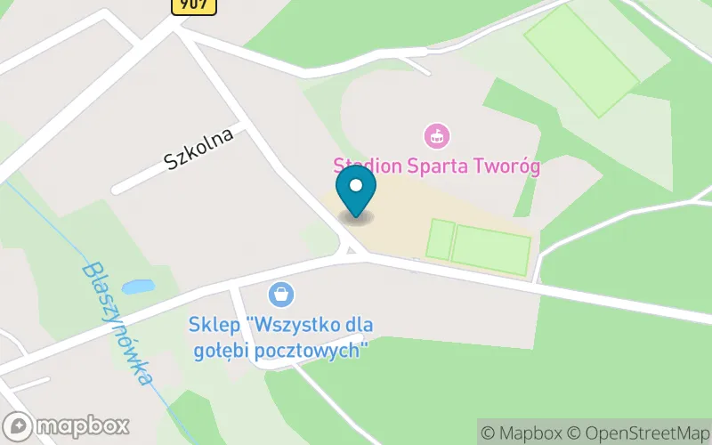 Lokalizacja: Szkoła Podstawowa im. Powstańców Śląskich