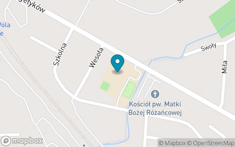 Lokalizacja: Publiczna Szkoła Podstawowa nr 5 im. Energetyków w Stalowej Woli