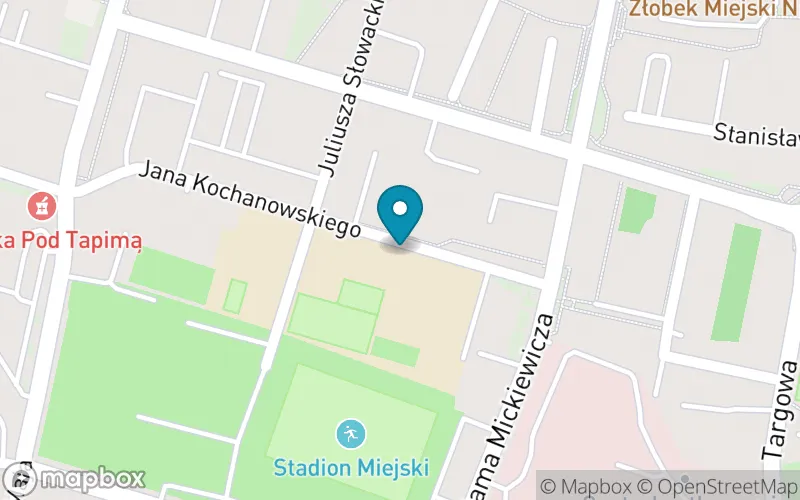 Lokalizacja: Szkoła Podstawowa nr 3 im. Alfreda Freyera